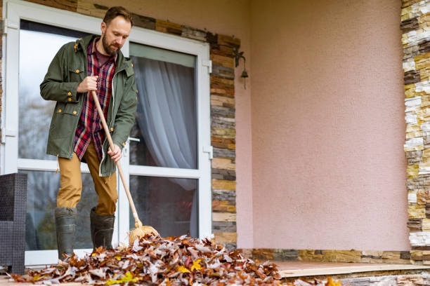 Best Full-Service Junk Removal  in Rossville, IN