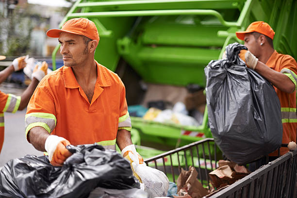 Best Electronics Removal Services  in Rossville, IN